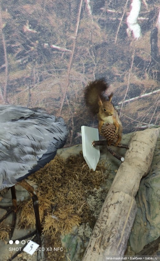Музей - Гуся, в Городе Гусь Хрустальный