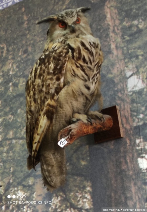 Музей - Гуся, в Городе Гусь Хрустальный