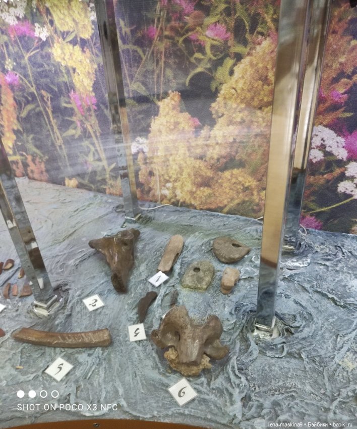 Музей - Гуся, в Городе Гусь Хрустальный