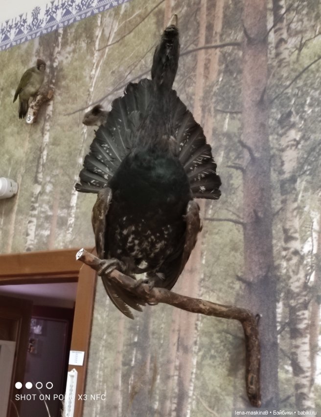 Музей - Гуся, в Городе Гусь Хрустальный