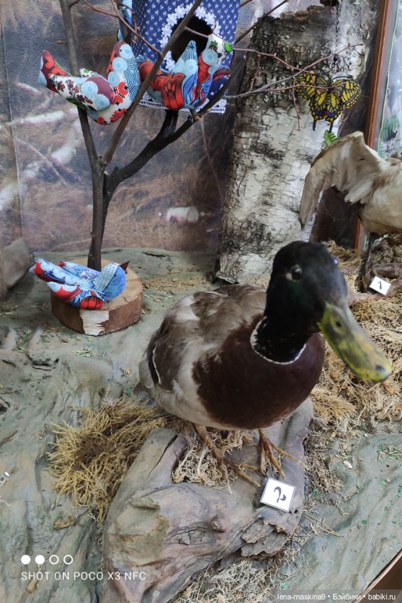 Музей - Гуся, в Городе Гусь Хрустальный