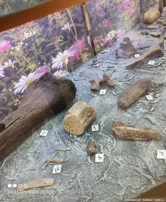 Музей - Гуся, в Городе Гусь Хрустальный