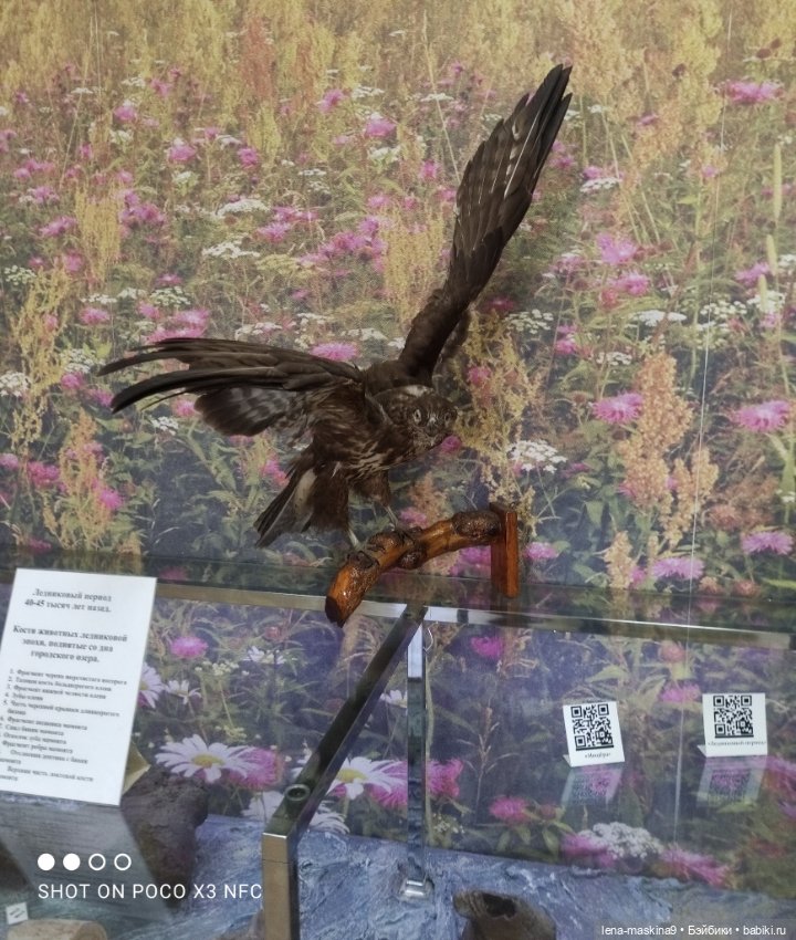 Музей - Гуся, в Городе Гусь Хрустальный