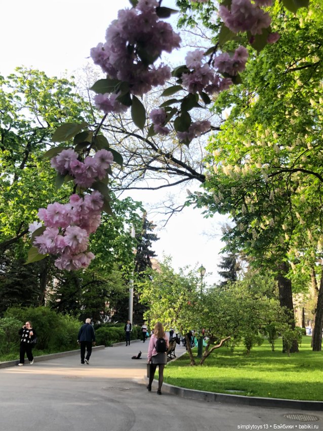 Мишка приглашает на прогулку