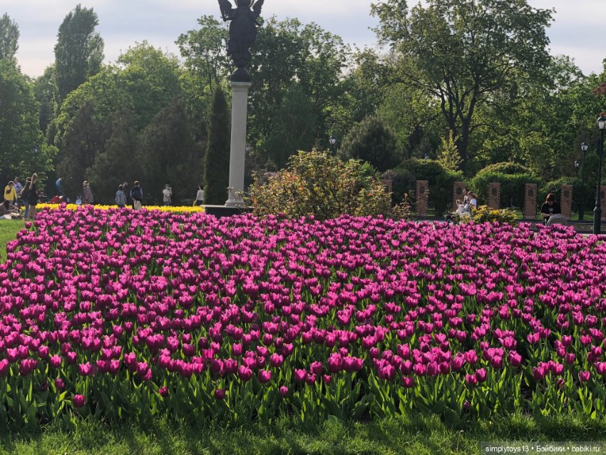 Мишка приглашает на прогулку