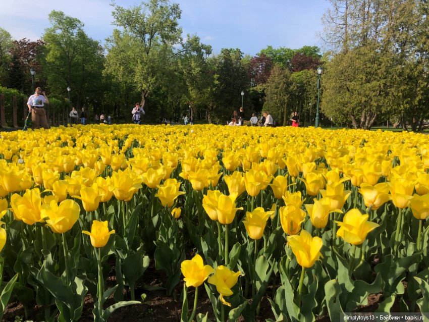 Мишка приглашает на прогулку