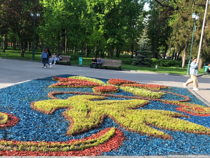 Мишка приглашает на прогулку