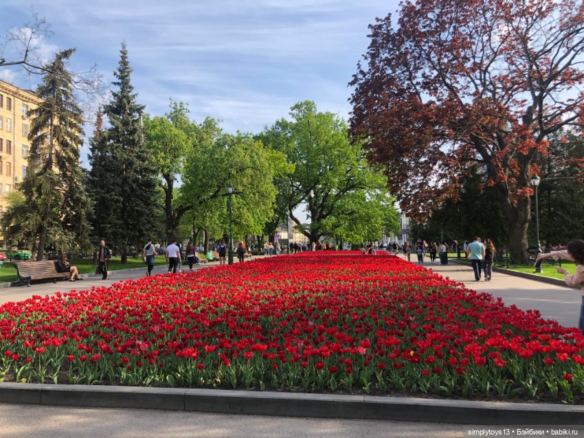 Мишка приглашает на прогулку