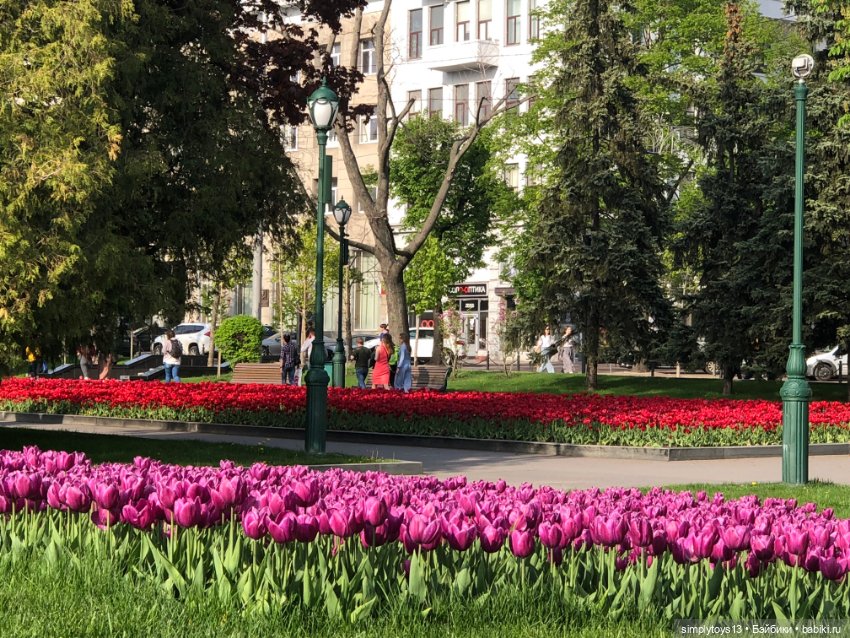 Мишка приглашает на прогулку