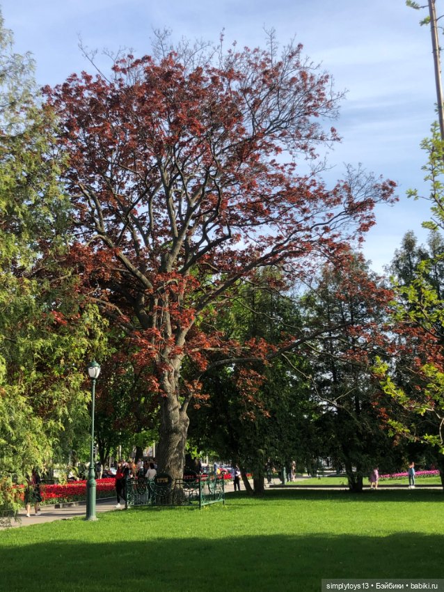 Мишка приглашает на прогулку