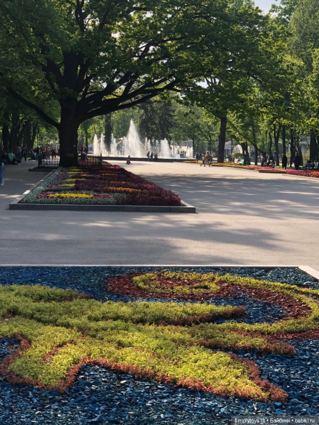 Мишка приглашает на прогулку