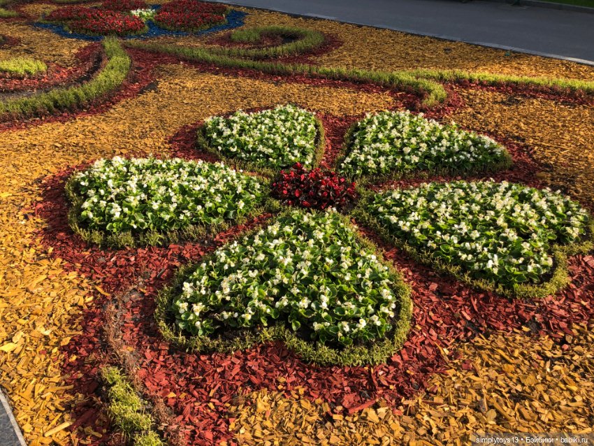 Мишка приглашает на прогулку