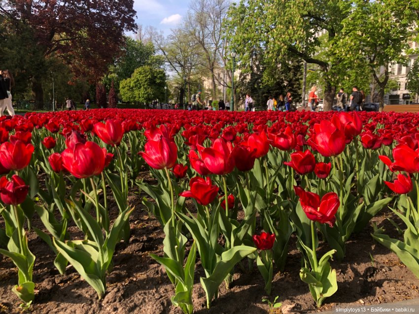 Мишка приглашает на прогулку