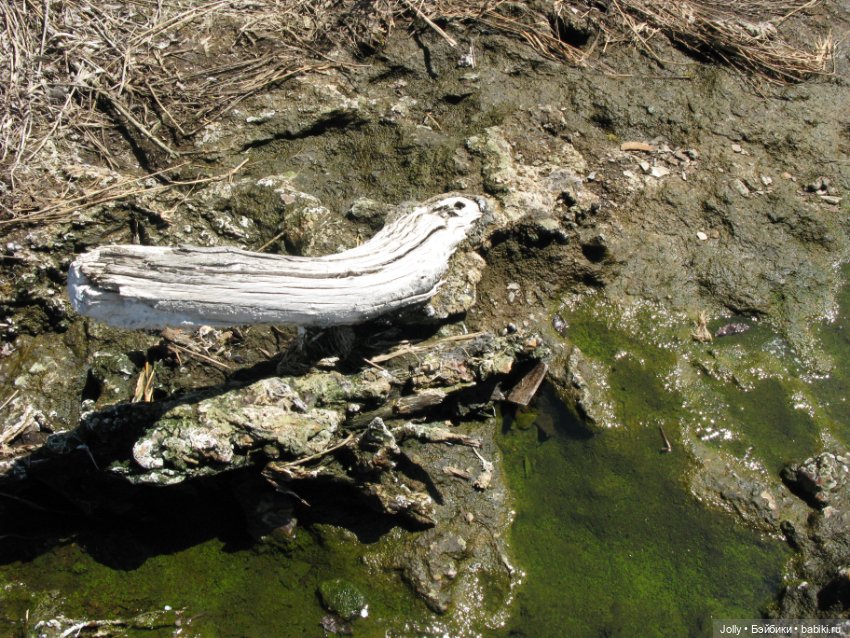 Странное место — Авторские работы в частных коллекциях: домашние фото кукол и игрушек