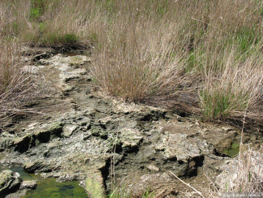Странное место — Авторские работы в частных коллекциях: домашние фото кукол и игрушек