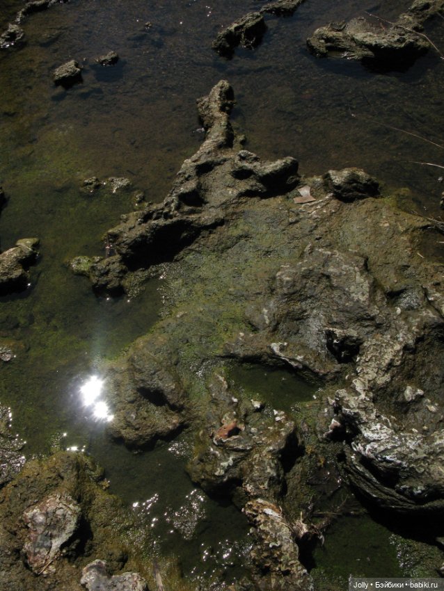 Странное место — Авторские работы в частных коллекциях: домашние фото кукол и игрушек (фото 6)