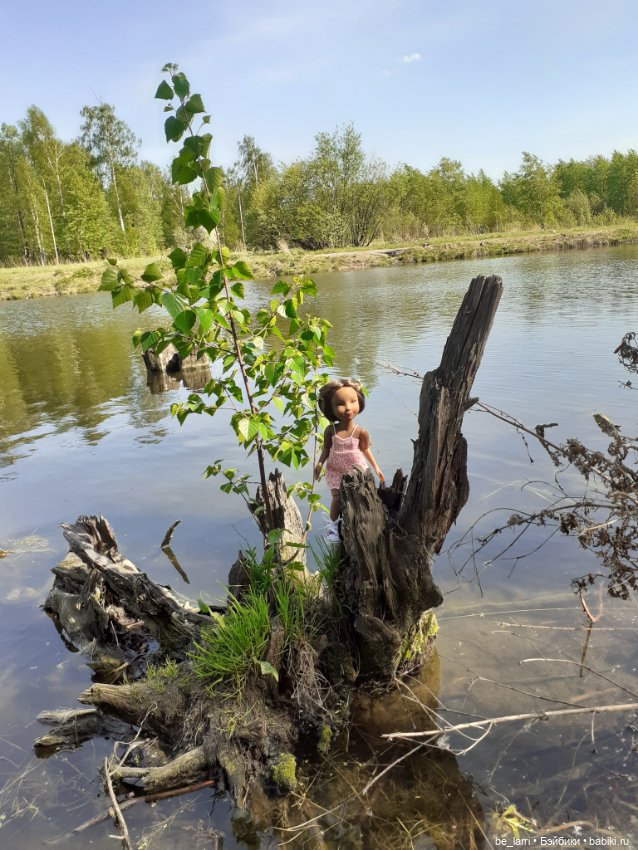 Прогулка у пруда маленькой руби (фото 2)