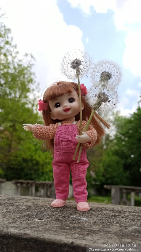 Майская прогулка — Куклы Baboliy (Баболи (фото 5)