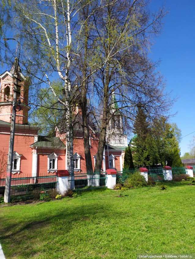 Мои девочки Zwergnase идут на конкурс (фото 10)