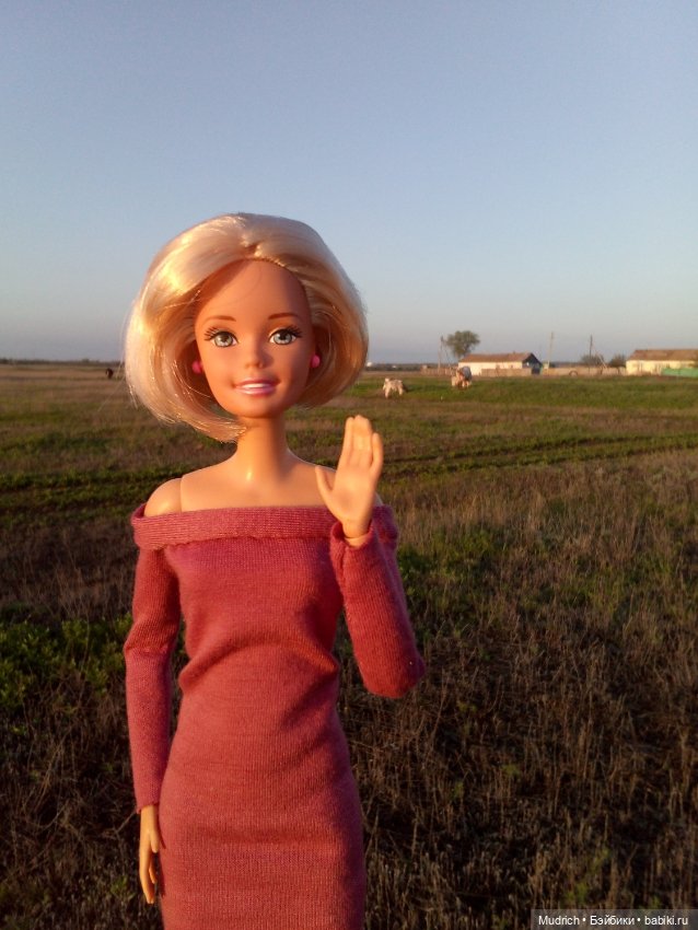 Альбомчик Софидеи — Кукольные фотоистории и сериалы: комиксы