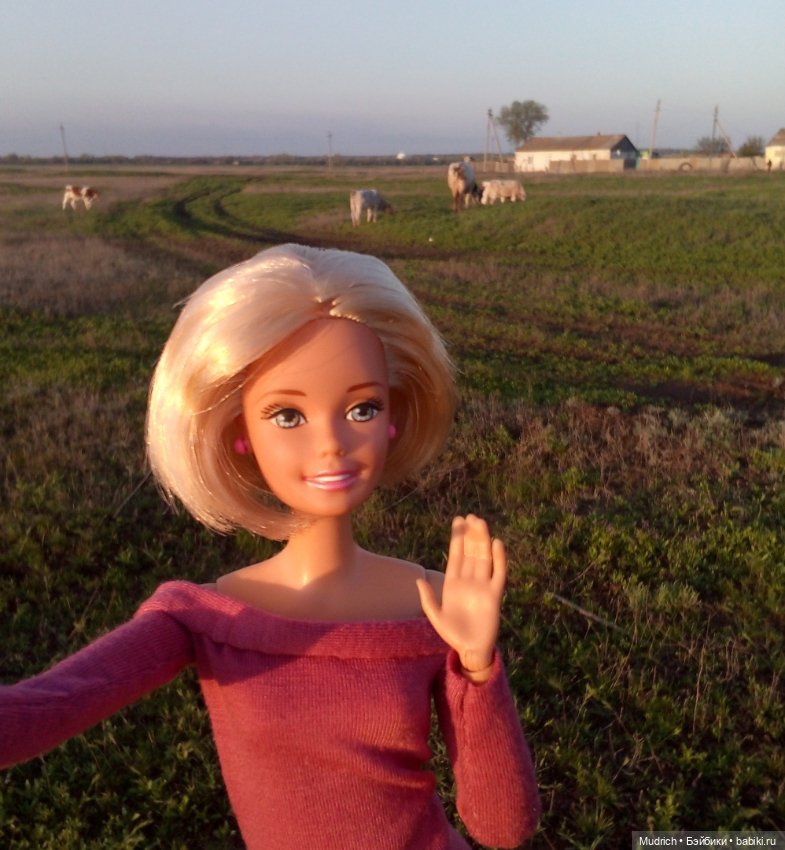 Альбомчик Софидеи — Кукольные фотоистории и сериалы: комиксы