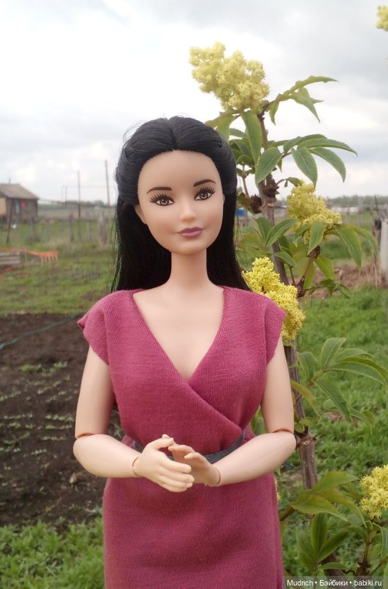 Альбомчик Софидеи — Кукольные фотоистории и сериалы: комиксы