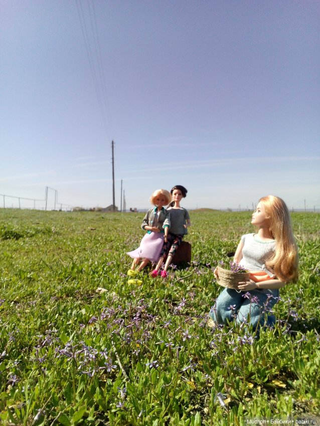 Альбомчик Софидеи — Кукольные фотоистории и сериалы: комиксы (фото 2)