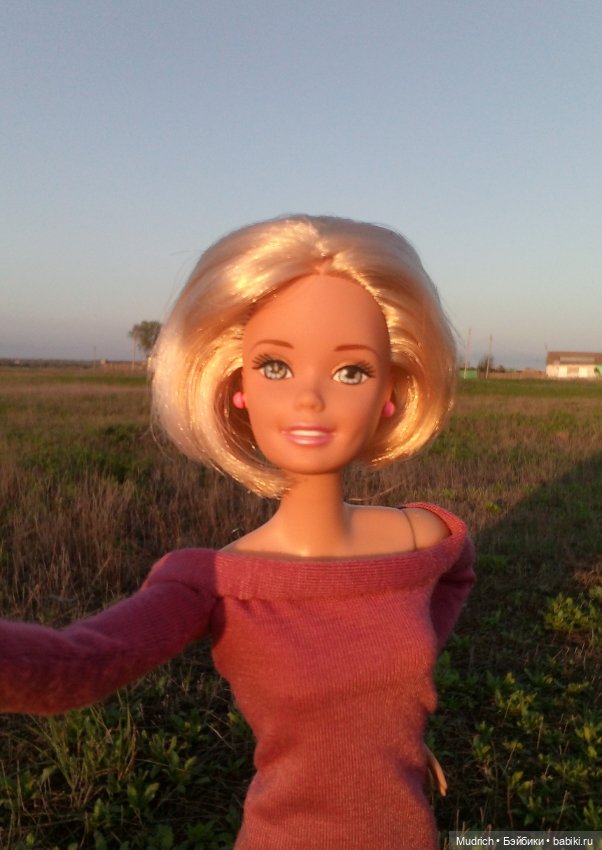 Альбомчик Софидеи — Кукольные фотоистории и сериалы: комиксы