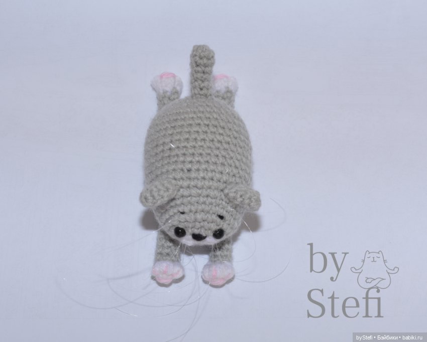 Мяу. Кто мяукает с утра? Прошка проснулся (фото 2)