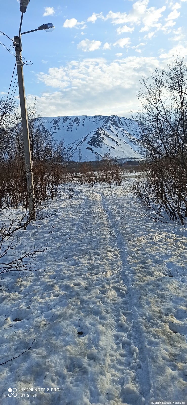 Немножко природы покажу. 19 мая. Заполярье (фото 2)