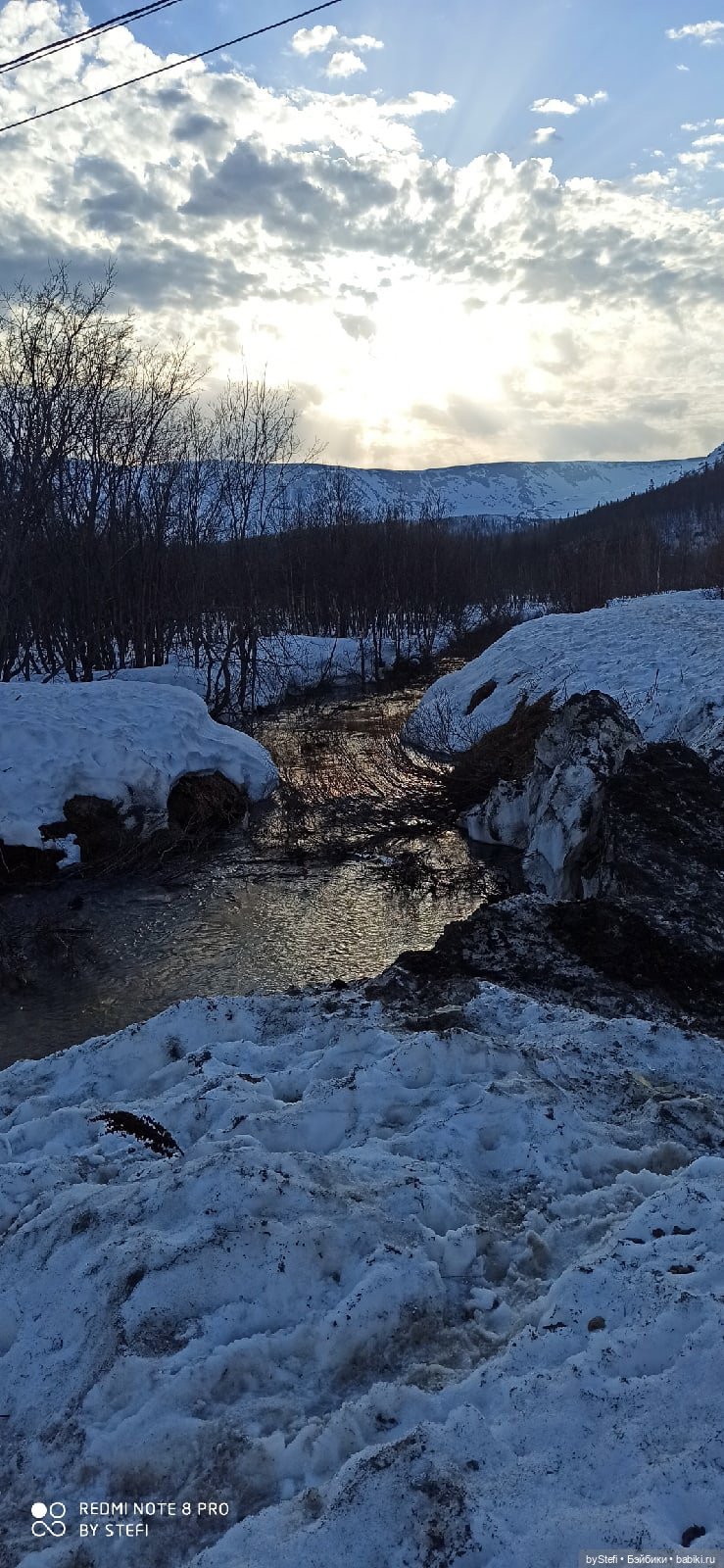 Немножко природы покажу. 19 мая. Заполярье
