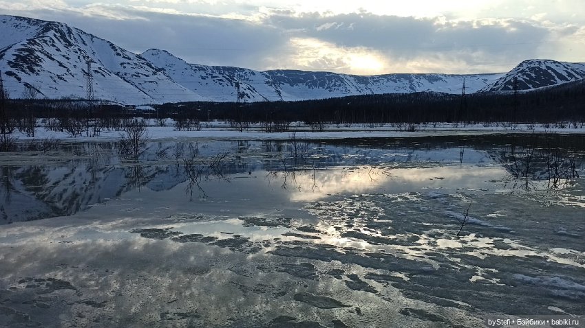 Немножко природы покажу. 19 мая. Заполярье (фото 10)