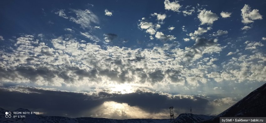 Немножко природы покажу. 19 мая. Заполярье (фото 9)