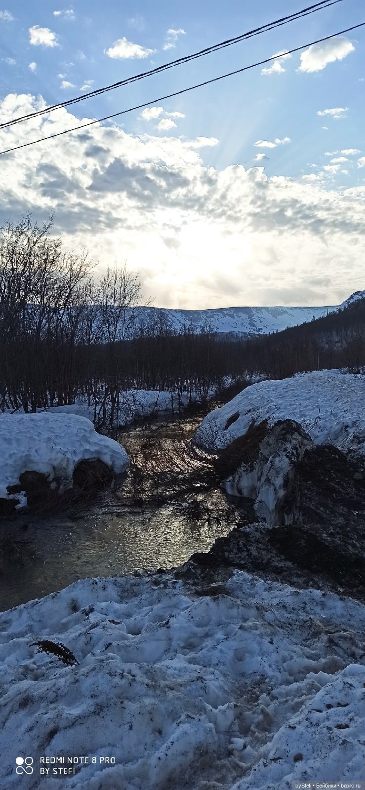 Немножко природы покажу. 19 мая. Заполярье
