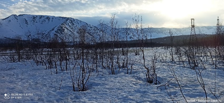 Немножко природы покажу. 19 мая. Заполярье