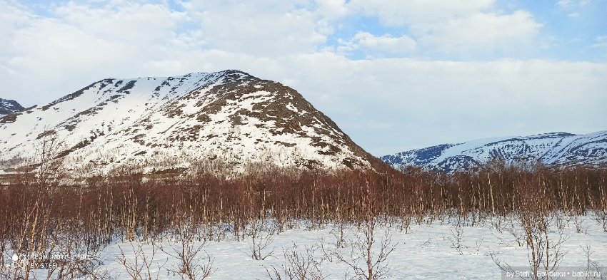 Немножко природы покажу. 19 мая. Заполярье