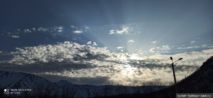 Немножко природы покажу. 19 мая. Заполярье