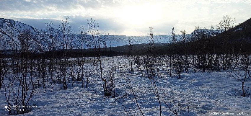 Немножко природы покажу. 19 мая. Заполярье