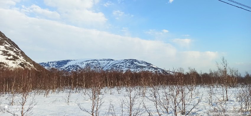 Немножко природы покажу. 19 мая. Заполярье