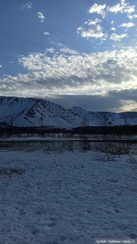 Немножко природы покажу. 19 мая. Заполярье