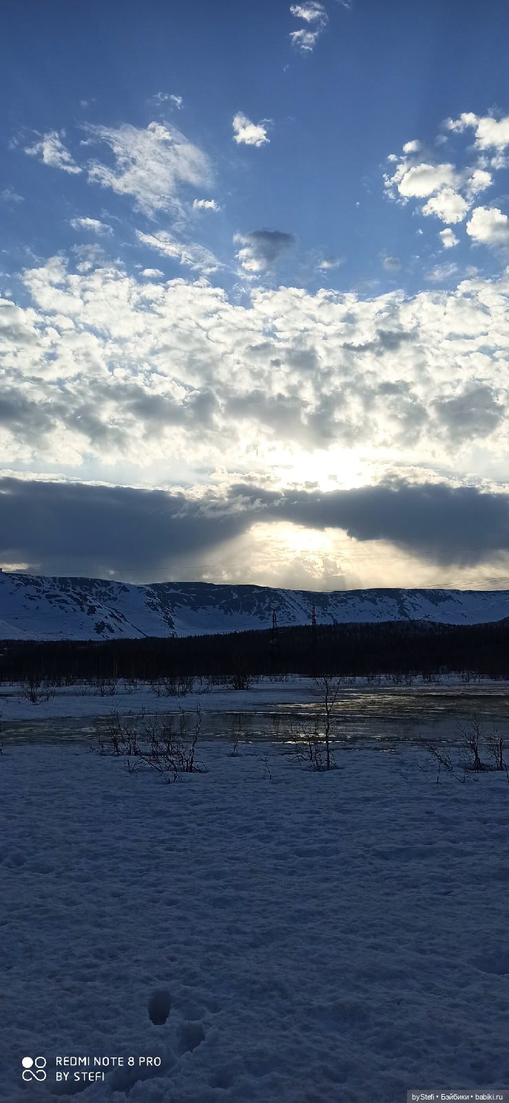 Немножко природы покажу. 19 мая. Заполярье