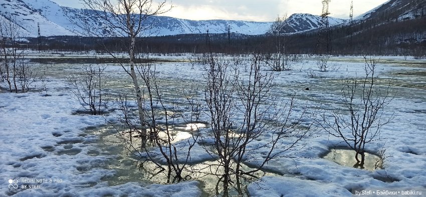 Немножко природы покажу. 19 мая. Заполярье