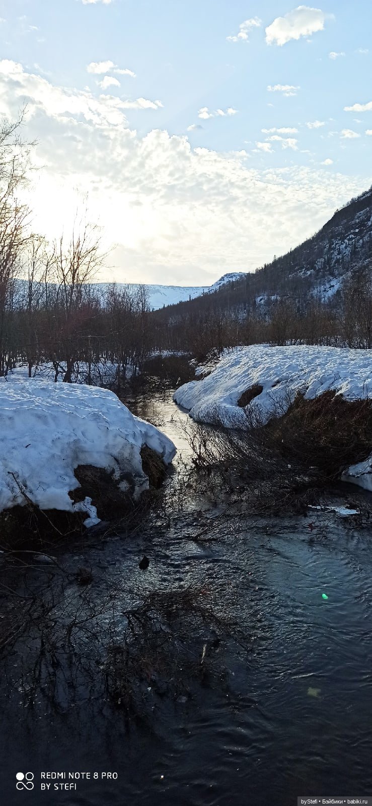 Немножко природы покажу. 19 мая. Заполярье