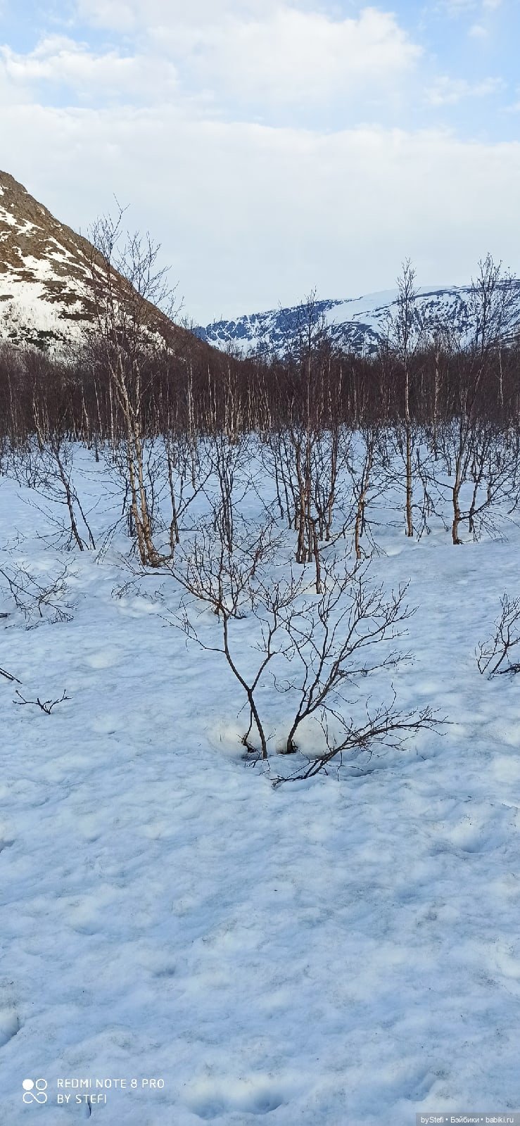 Немножко природы покажу. 19 мая. Заполярье