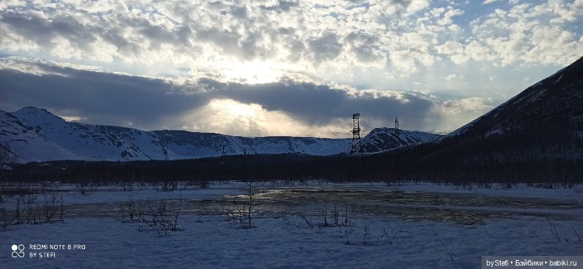 Немножко природы покажу. 19 мая. Заполярье