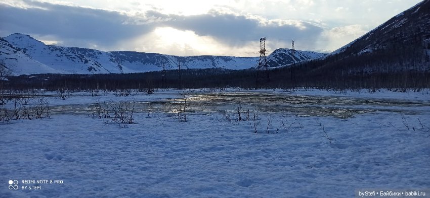 Немножко природы покажу. 19 мая. Заполярье