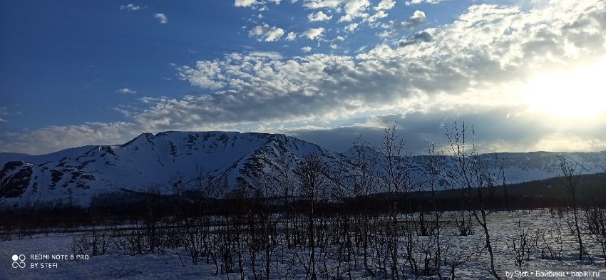 Немножко природы покажу. 19 мая. Заполярье (фото 7)