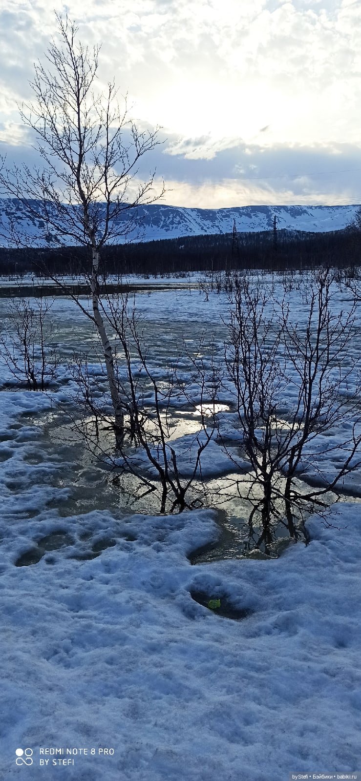 Немножко природы покажу. 19 мая. Заполярье