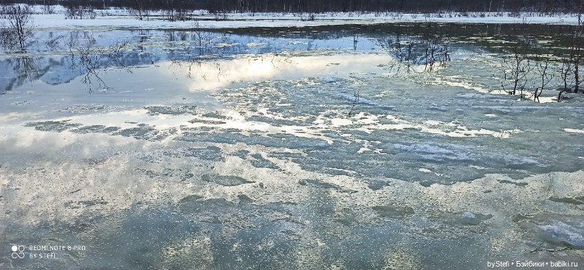 Немножко природы покажу. 19 мая. Заполярье