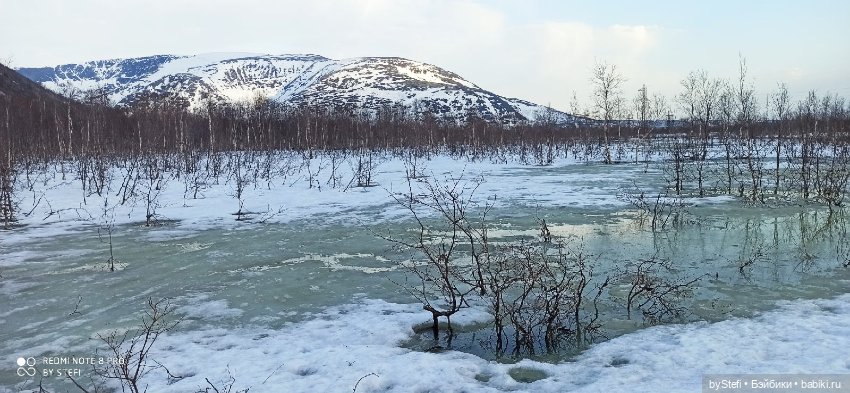 Немножко природы покажу. 19 мая. Заполярье